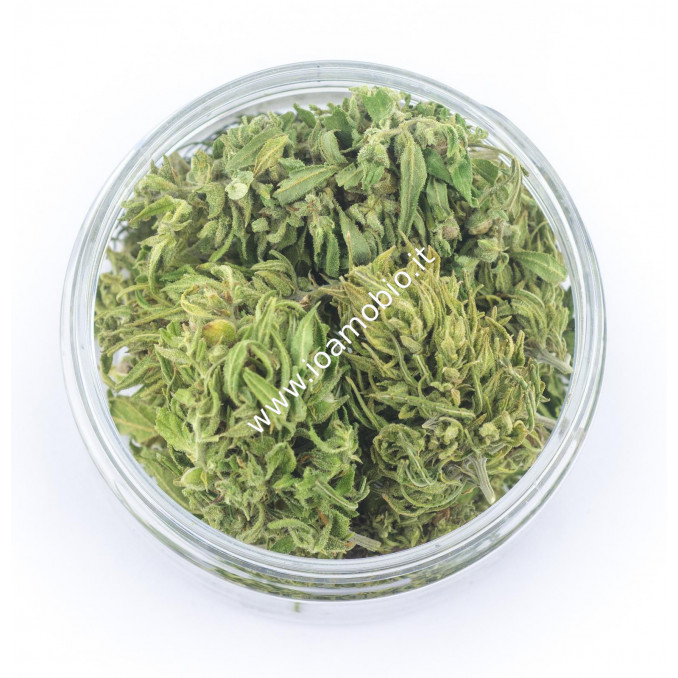 Easyjoint Bio Futura 8g - Marijuana legale Cannabis light Canapa