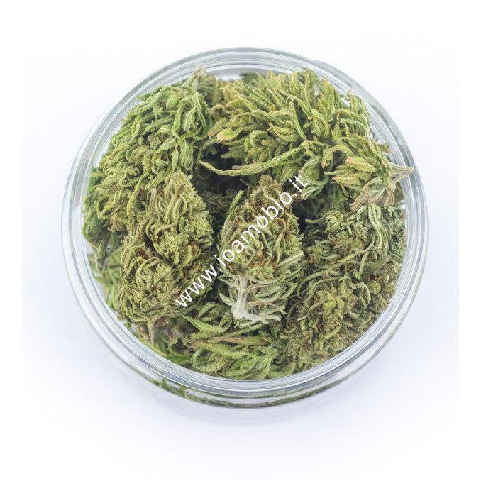 Easyjoint Special Blend Tripla F 8g - Marijuana legale Cannabis light Canapa
