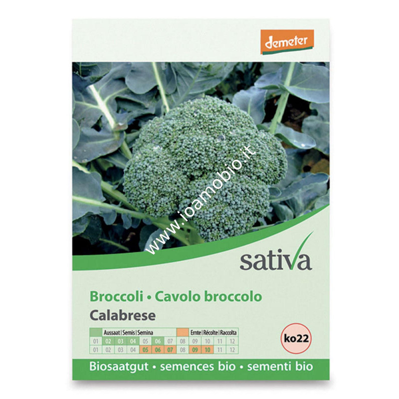 Sementi Bio - Cavolo Broccolo Calabrese - Semi Sativa