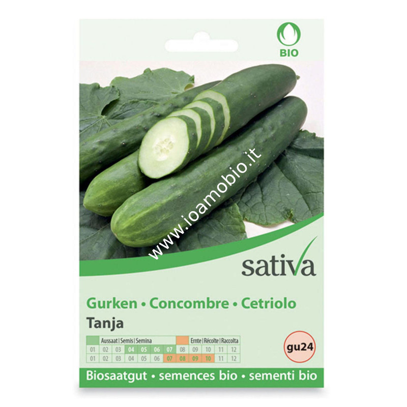Sementi Bio - Cetriolo Tanja - Semi Sativa