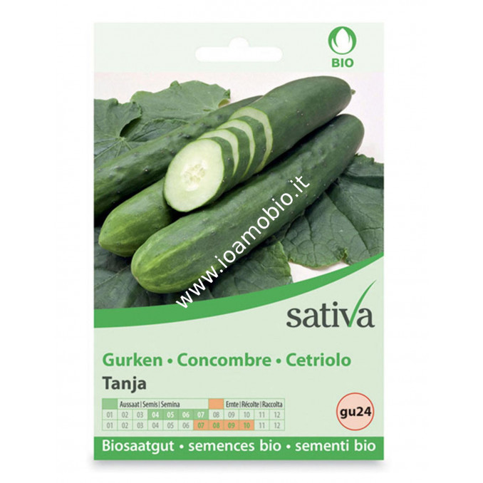 Sementi Bio - Cetriolo Tanja - Semi Sativa