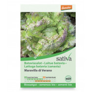 Sementi Bio - Lattuga Batavia ( Canasta ) - Semi Sativa