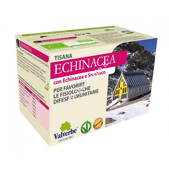 Echinacea 20 filtri- Valverbe Tisana biologica - Favorisce le difese immunitarie