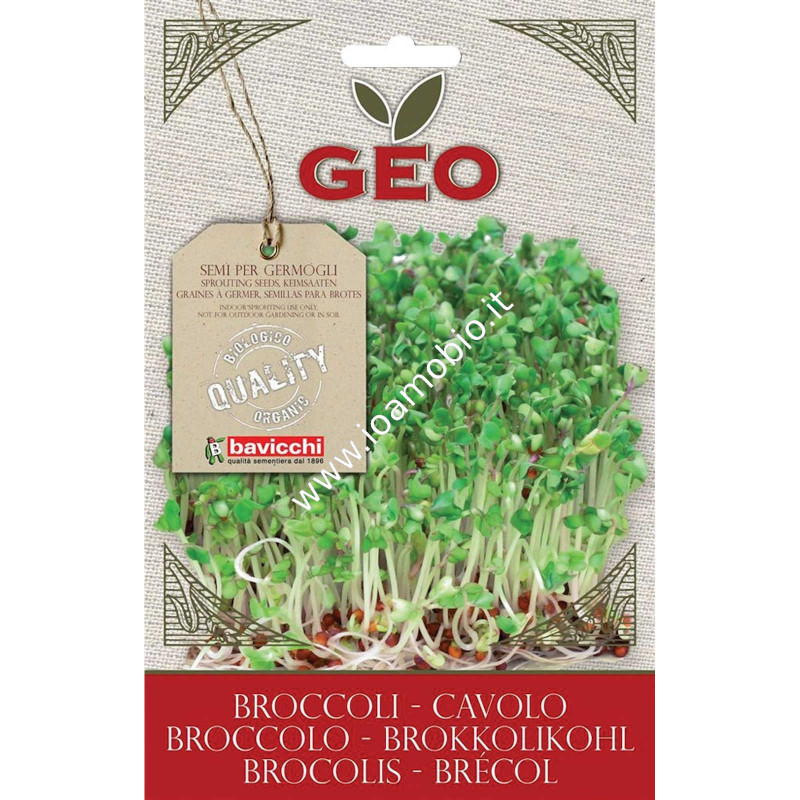 Semi di Cavolo Broccolo da Germogliare 13g - Geo Bavicchi